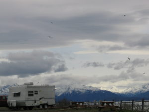 Alaska Digital Nomad