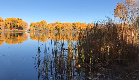 Leaf Peeping, Lodge Stays, and the Secret to Feeling Like a Tourist Again